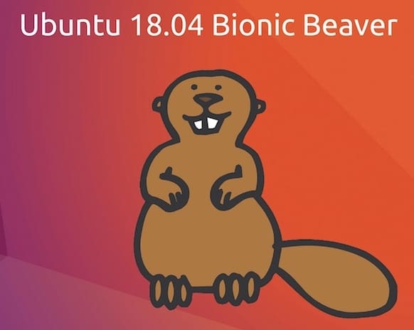 Ubuntu 18.04 Bionic Beaver